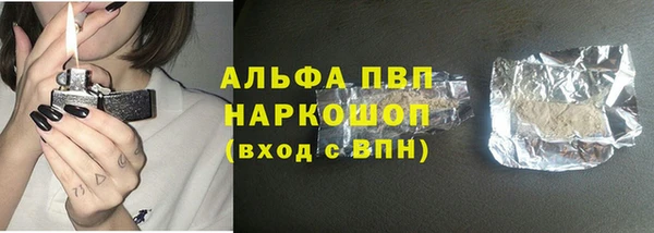 ПСИЛОЦИБИНОВЫЕ ГРИБЫ Белоозёрский