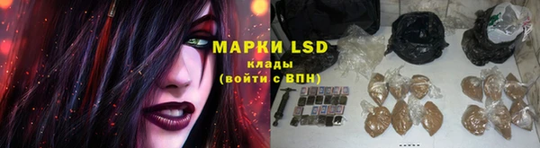 ПСИЛОЦИБИНОВЫЕ ГРИБЫ Белоозёрский